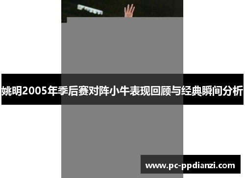 姚明2005年季后赛对阵小牛表现回顾与经典瞬间分析