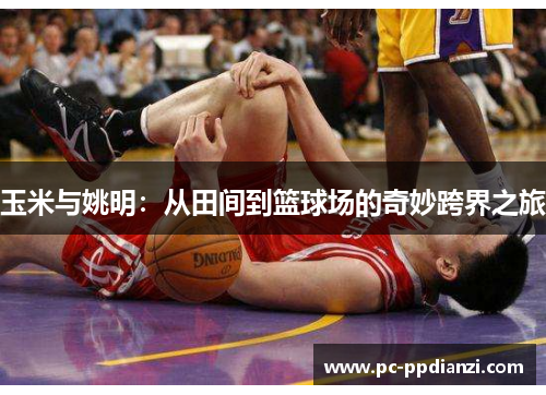 玉米与姚明：从田间到篮球场的奇妙跨界之旅