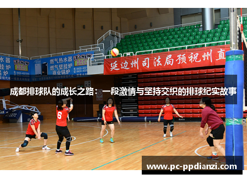 成都排球队的成长之路：一段激情与坚持交织的排球纪实故事